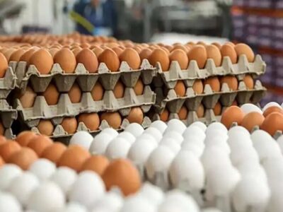 قیمت تخم مرغ در ارومیه دوباره ترمز برید