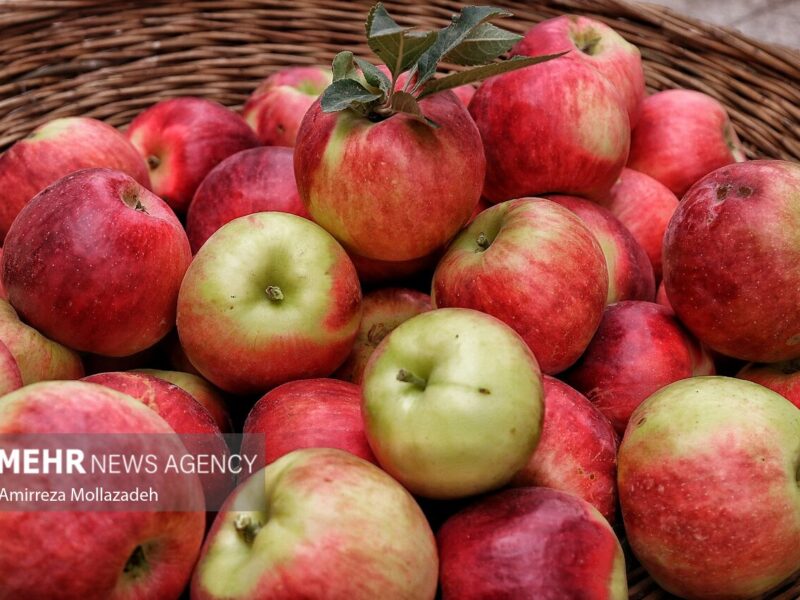 آغاز خرید توافقی سیب صنعتی و فعال‌سازی ۷۳ مرکز خرید در آذربایجان ‌غربی