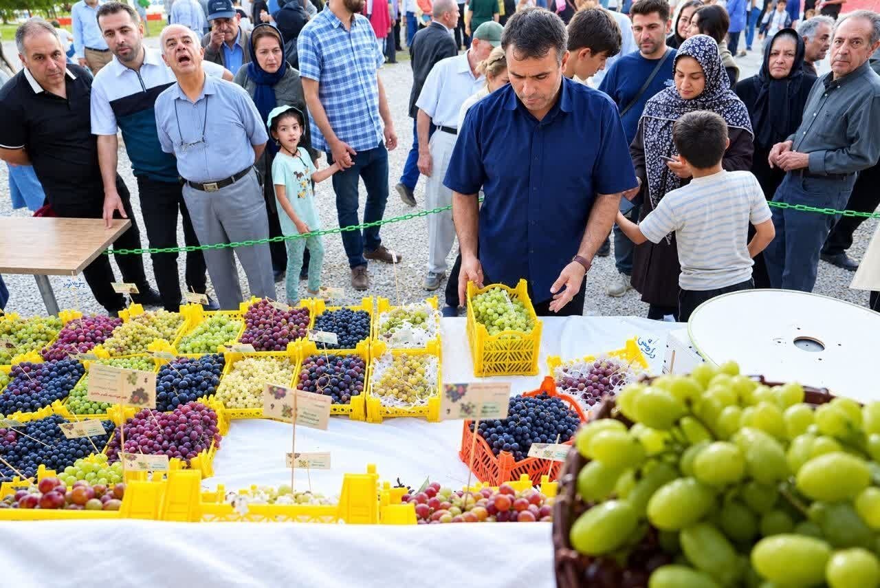 نهمین جشنواره انگور ارومیه